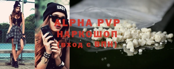 прущие грибы Няндома