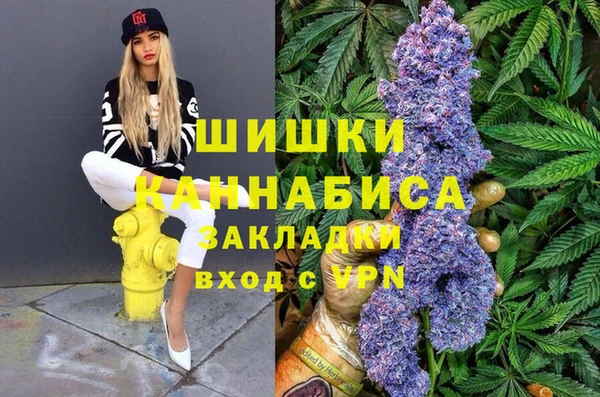 сатива Нягань