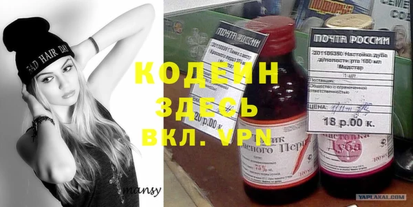 прущие грибы Няндома