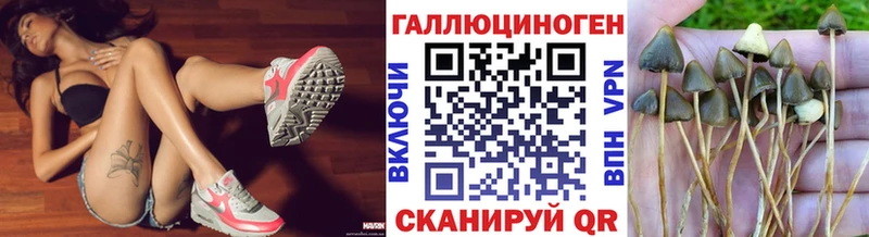 Псилоцибиновые грибы ЛСД  Ладушкин 
